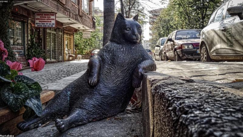 madoutv 产品创意影像与实拍布光服务